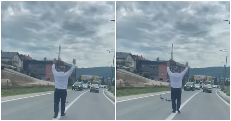 VIDEO Čovjek iz BiH zaustavio promet da bi patka s pačićima mogla proći cestom