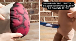 Viralni video: Medicinska sestra pokazala kako izgleda posteljica tijekom trudnoće