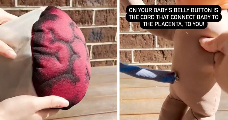 Viralni video: Medicinska sestra pokazala kako izgleda posteljica tijekom trudnoće