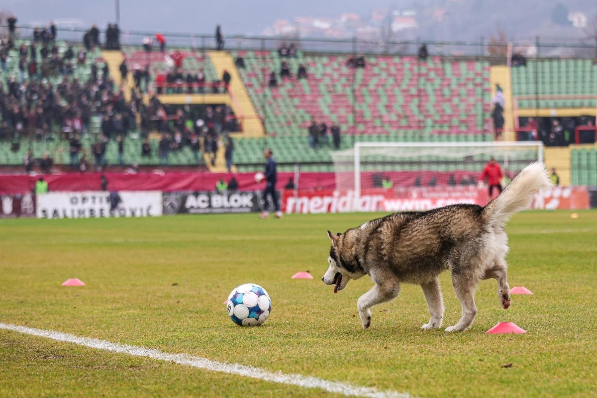 Neobičan prizor u Sarajevu: Pas se pridružio zagrijavanju na najvećem bh. stadionu