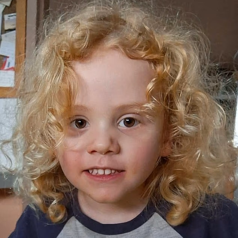 Policija je obustavila potragu za četverogodišnjakom nestalim u australskoj divljini