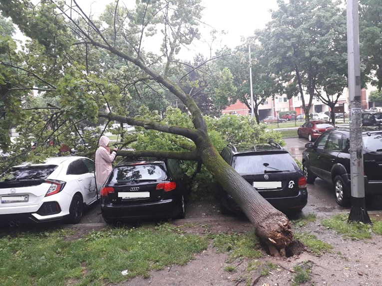 VIDEO Drvo palo na aute na zagrebačkoj Malešnici