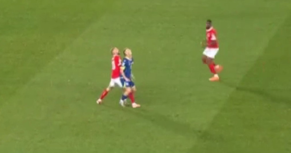 VIDEO Austrijanci bijesni na suca. Pogledajte zbog čega im je poništen gol protiv BiH