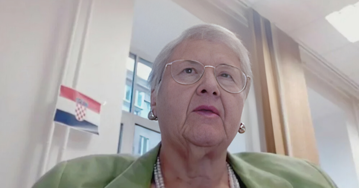 Hrvatska veleposlanica u Ukrajini: Cilj im je da ljudi ostanu u mraku, bez grijanja