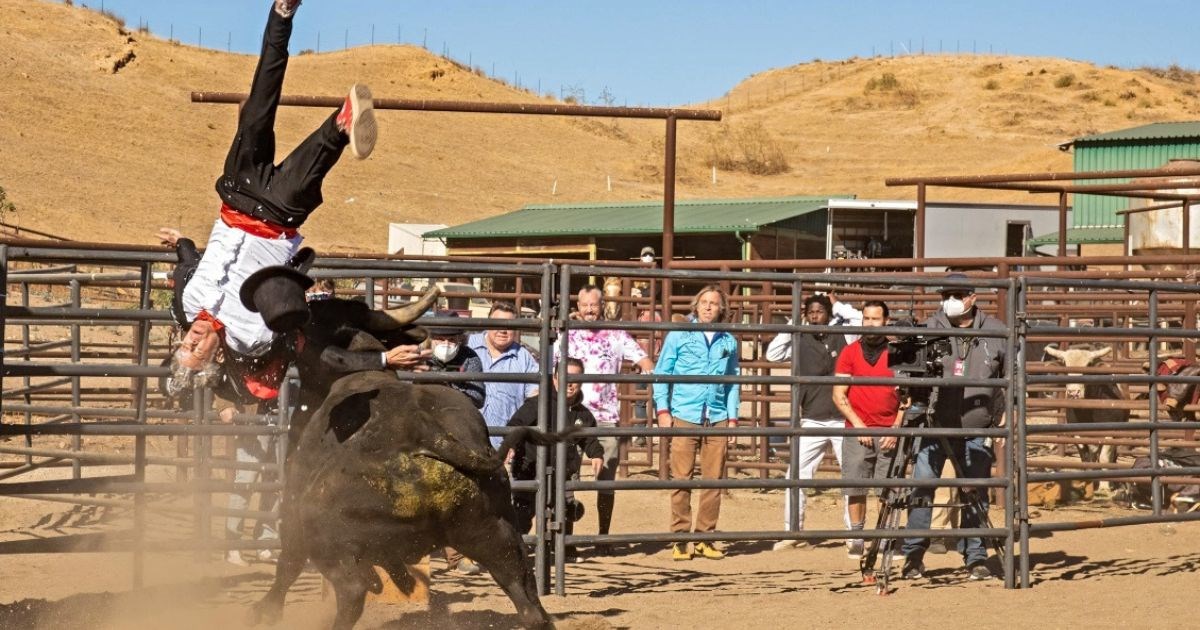 Novi "Jackass" stiže u kina ovog ljeta