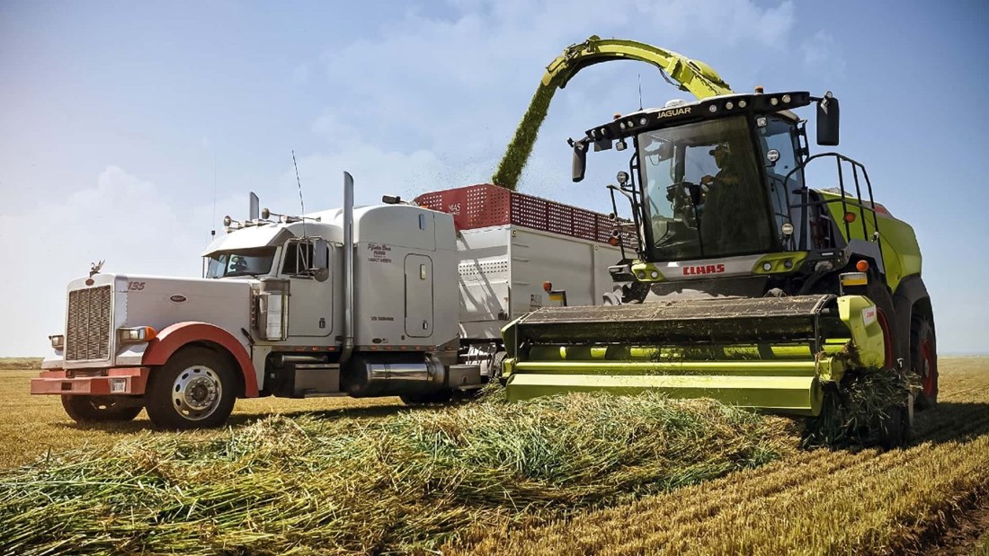 Rekordna žetva: 4.096 tona u 12 sati