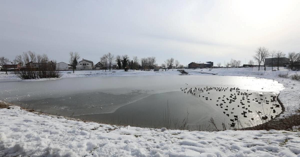 FOTO I VIDEO Pogledajte zimsku idilu na jezeru Kipišće u Svetoj Nedelji