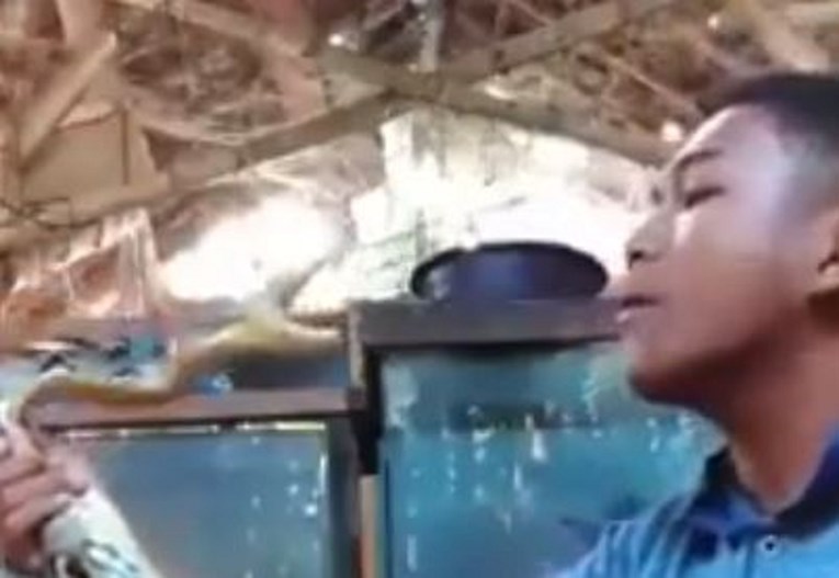 VIDEO "Užitak za gledanje": Idiot mučio zmiju pa dobio ono što je tražio