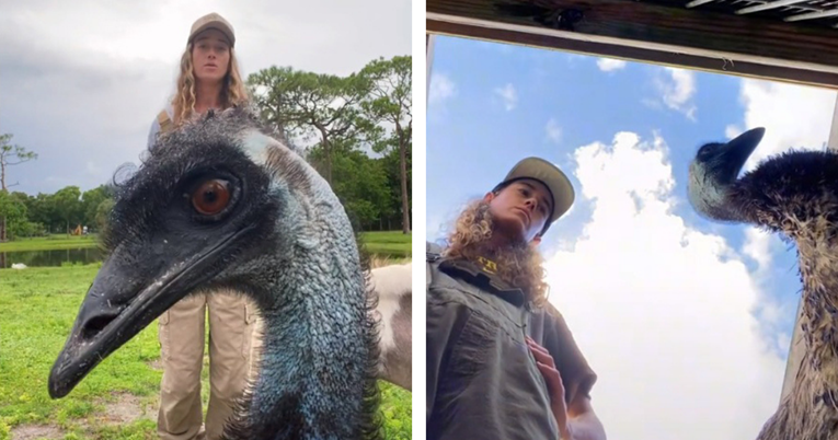 Emu Emmanuel postao je viralni hit na TikToku, voli ometati vlasnicu dok snima