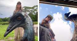 Emu Emmanuel postao je viralni hit na TikToku, voli ometati vlasnicu dok snima