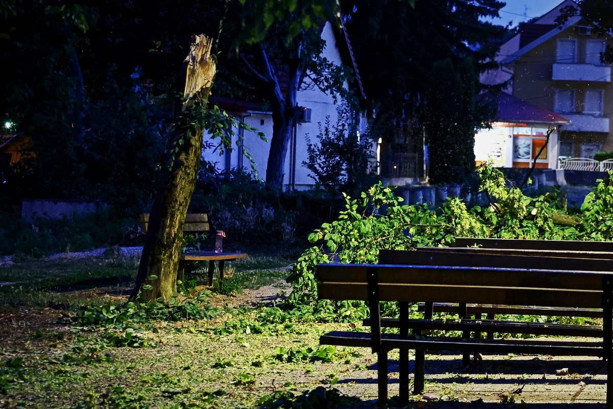 Prošlo nevrijeme na sjeveru Hrvatske. Jak vjetar rušio stabla i električne vodove