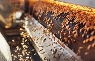 Financial Times: EU će uvesti carine na uvoz ruskog žita