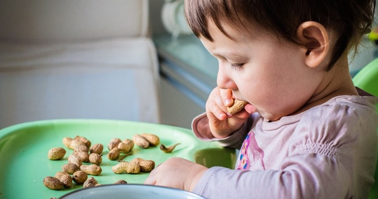 Postoji dobar razlog zbog kojeg biste kikiriki mogli dodati u prehranu male djece