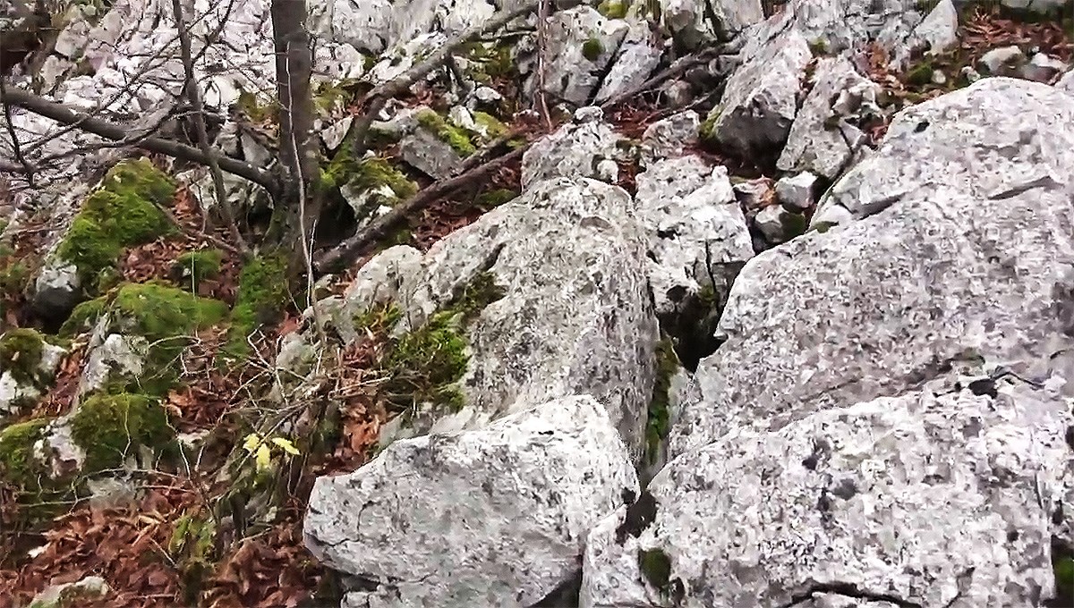 VIDEO MUP: Policajcu je u ovim stijenama zapela noga, zato je upucao migranta