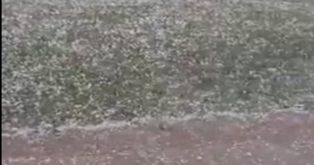 VIDEO Jaka tuča pogodila u Petrinji i okolicu, uništeni voćnjaci i vrtovi