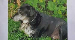 Nestao pas na području Vrapča, vlasnici mole za pomoć: Dijabetičar je i prima inzulin