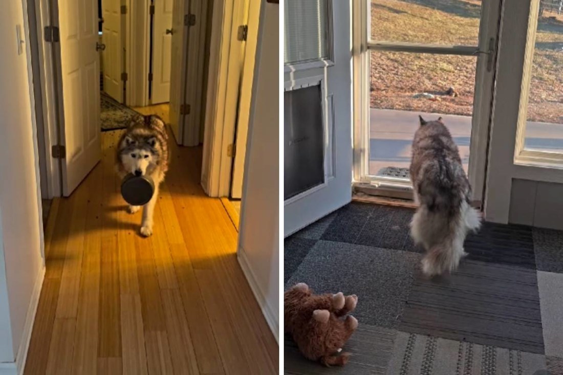 VIDEO Haskica je htjela večerati vani, ali joj je plan propao