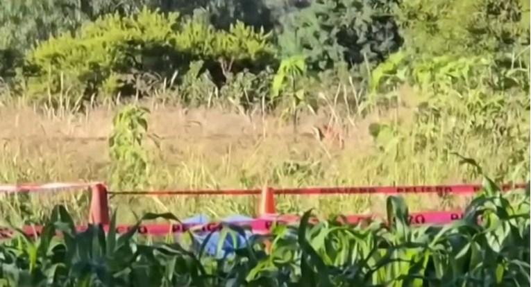 Pored ceste u Meksiku pronađeno šest glava