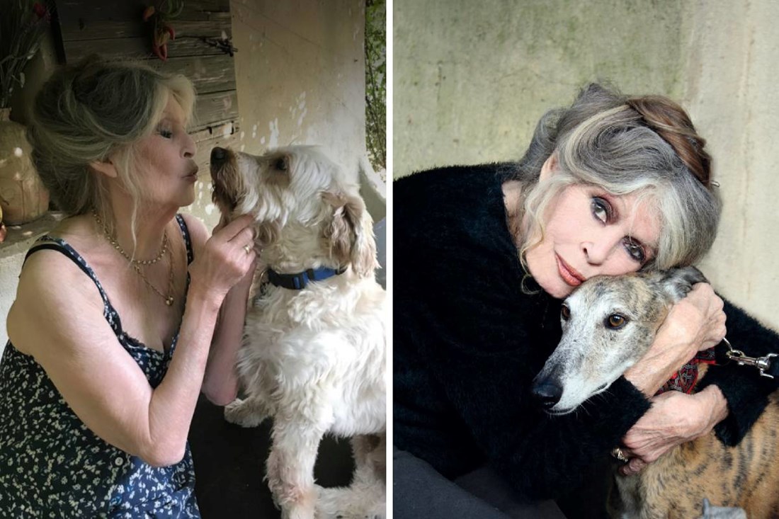 Ovo su posljednje fotografije Brigitte Bardot