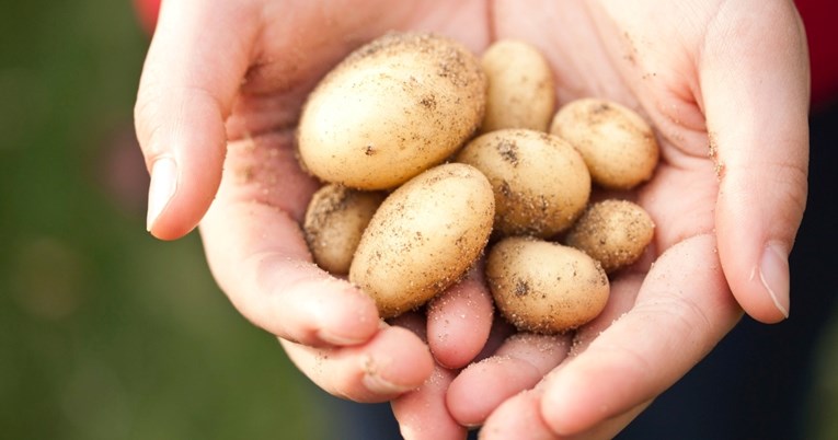 Evo što se događa u vašem tijelu ako redovito jedete krumpir