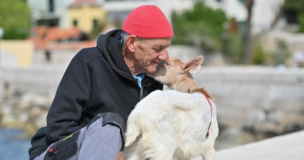 FOTO Gago iz Dalmacije za ljubimca ima kozu Nelu, zajedno šetaju rivom i idu na kavu
