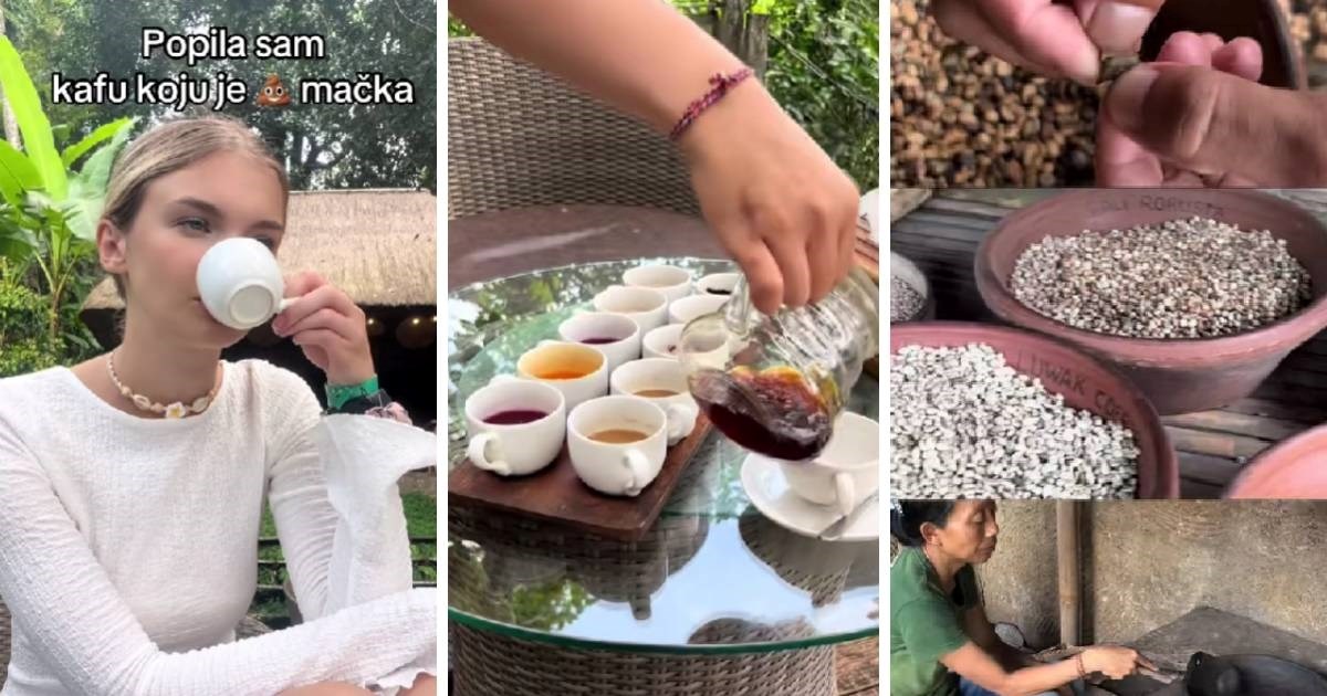 Srpkinja na Baliju probala kavu od izmeta mačke: "Ljudi kažu da je finija od obične"