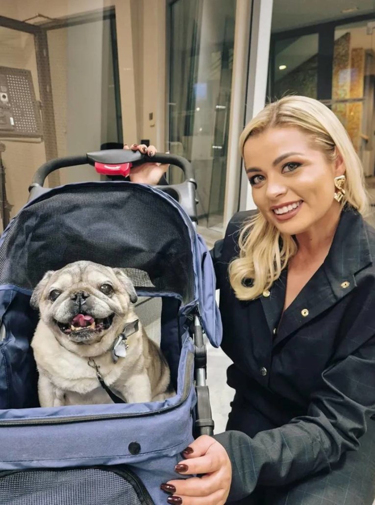 Ljudi napali Šušnjaru zbog psa u kolicima. Ona: Nemam djece, on mi je kao dijete