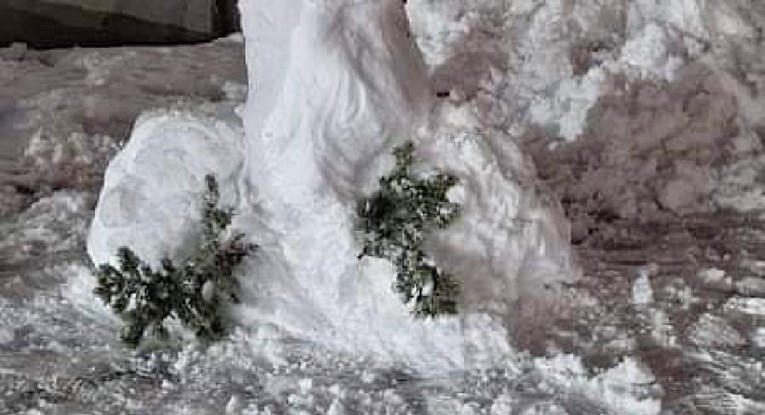 Dalmatince nasmijao 18+ snješko na popularnoj stranici: "Na*ebali smo i ovu godinu"