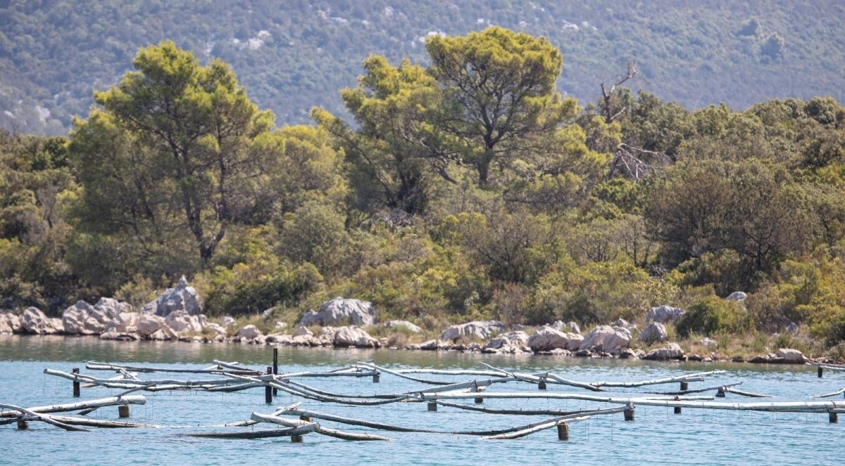Tijekom redovitog testiranja kakvoće mora na plaži u Stonu otkrivene fekalije