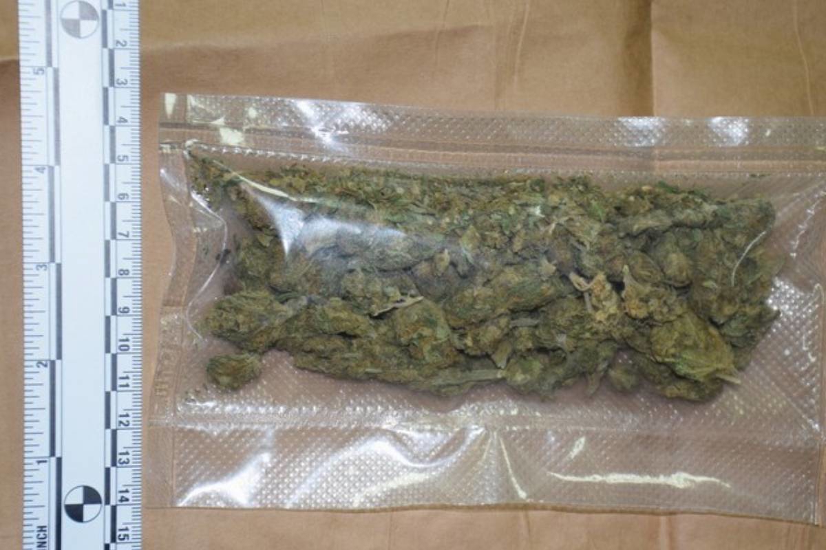 U dvorištu kuće u Dubravi uzgajao marihuanu, pri uhićenju se sukobio s policijom