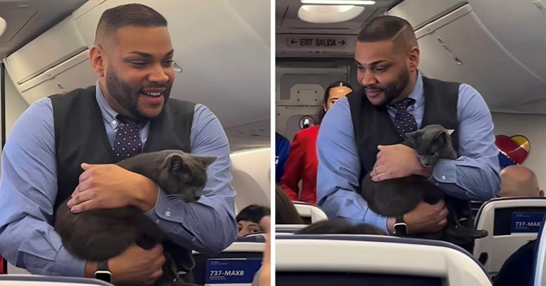 Stjuard koji hoda s mačkom na letu hit je na internetu