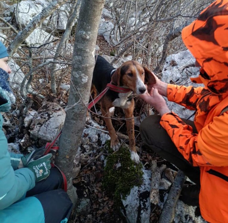 Lovački pas upao u rupu u stijeni na Velebitu, spasio ga HGSS