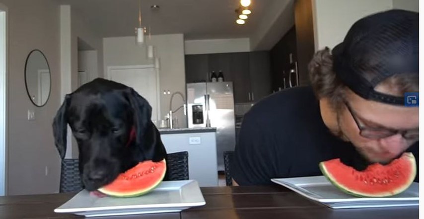 Natjecao se sa psom tko će brže pojesti sve s tanjura. Što mislite tko je pobijedio?