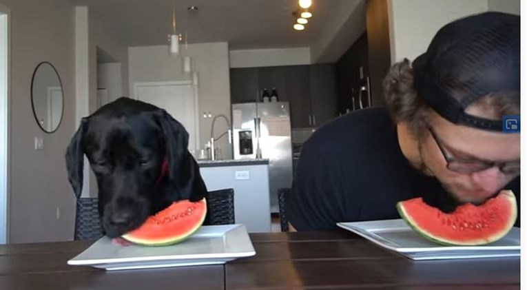 Natjecao se sa psom tko će brže pojesti sve s tanjura. Što mislite tko je pobijedio?