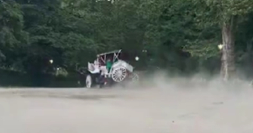 Vozač izašao iz kočije u Central Parku, konj krenuo u galop. Poginuo mladi turist