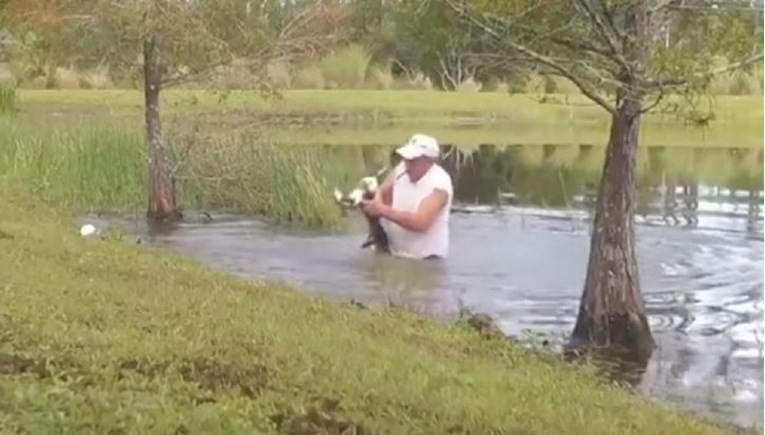 VIDEO Umirovljenik skočio u jezero i golim rukama spasio psića iz ralja aligatora