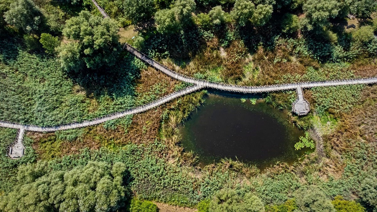 Stigla dozvola za tretiranje komaraca u Kopačkom ritu