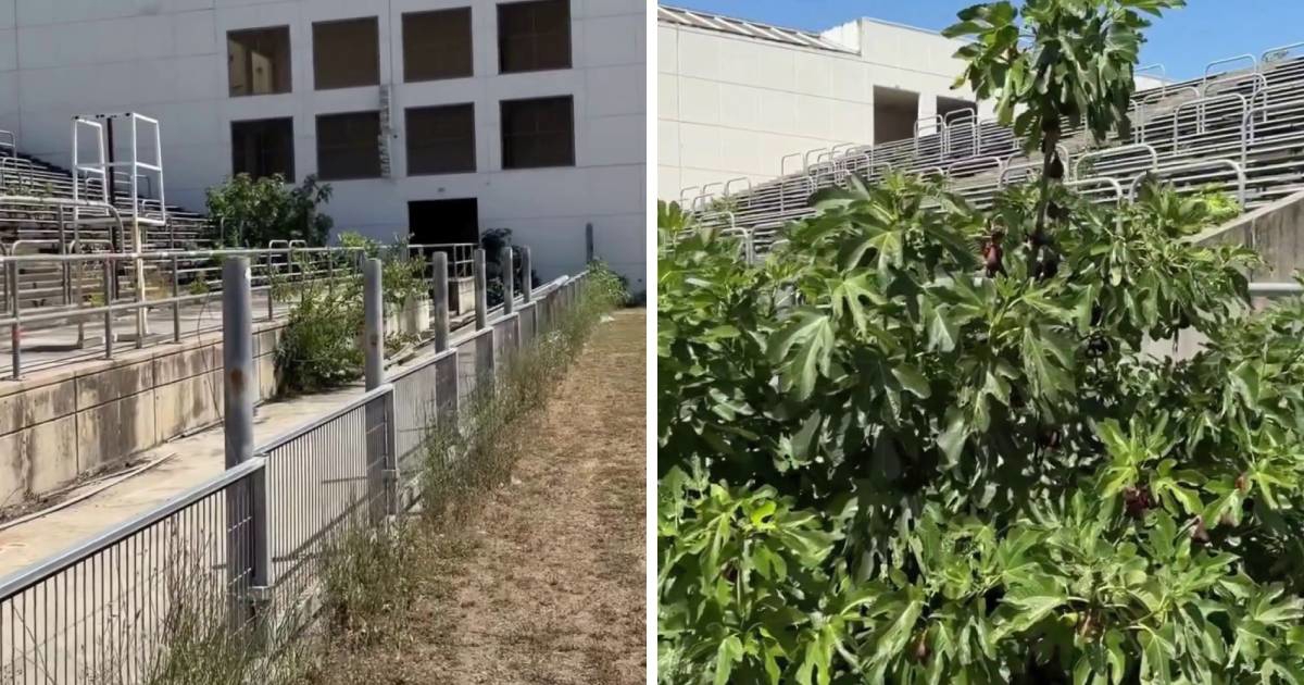 Od prve lige do ruševine u nekoliko godina. Pogledajte zapušteni stadion u Francuskoj