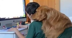 Pas pomogao dječaku napisati domaću zadaću, preslatki video otkrio kako