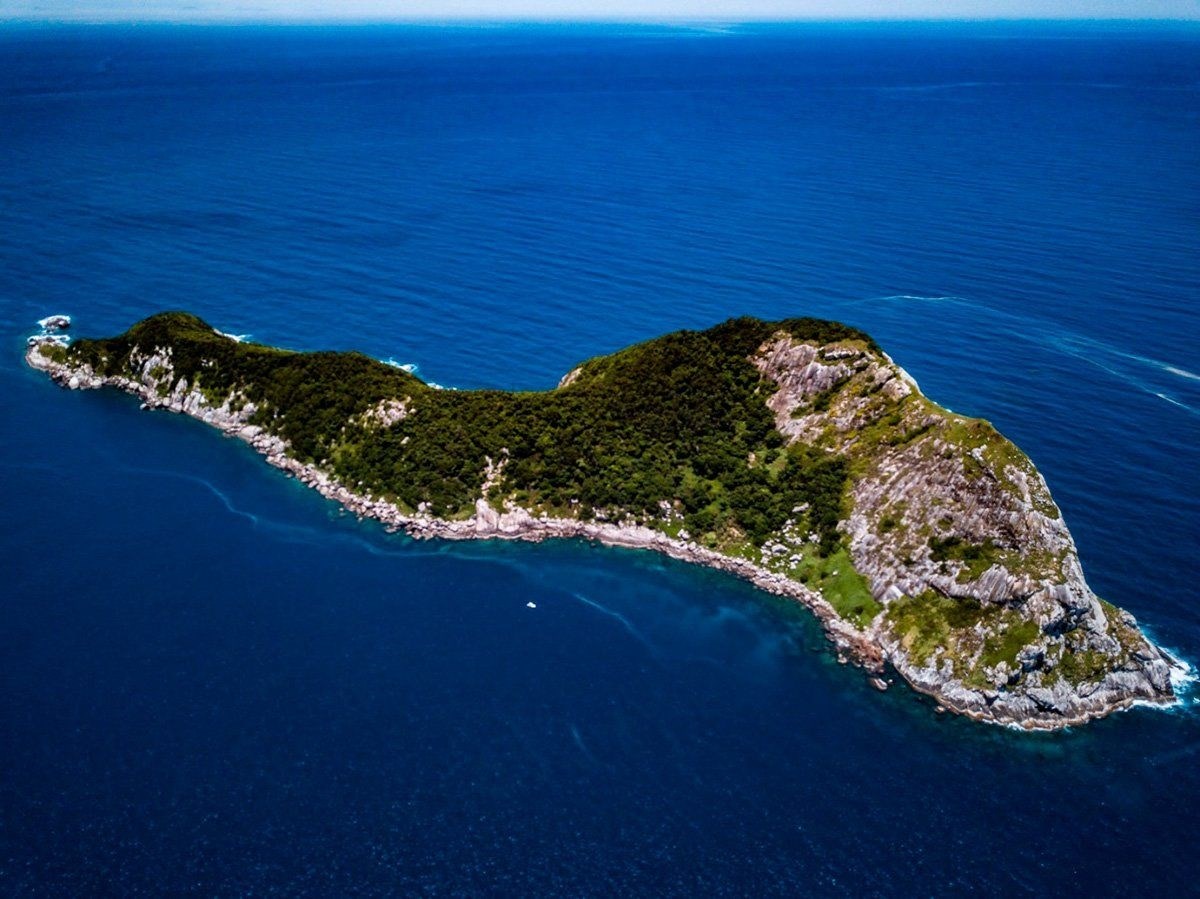 Ovaj otok jedini je dom kritično ugrožene vrste zmija. Njen otrov topi ljudsko tkivo