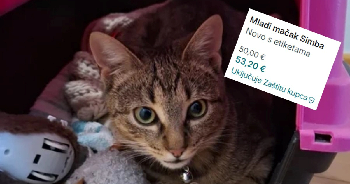 Na Vintedu iskočio bizaran oglas: Netko u RH prodaje mačka u kategoriji igračaka