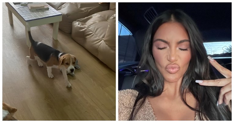 VIDEO Ovaj pas ne može podnijeti glas Kim Kardashian, snimka je hit
