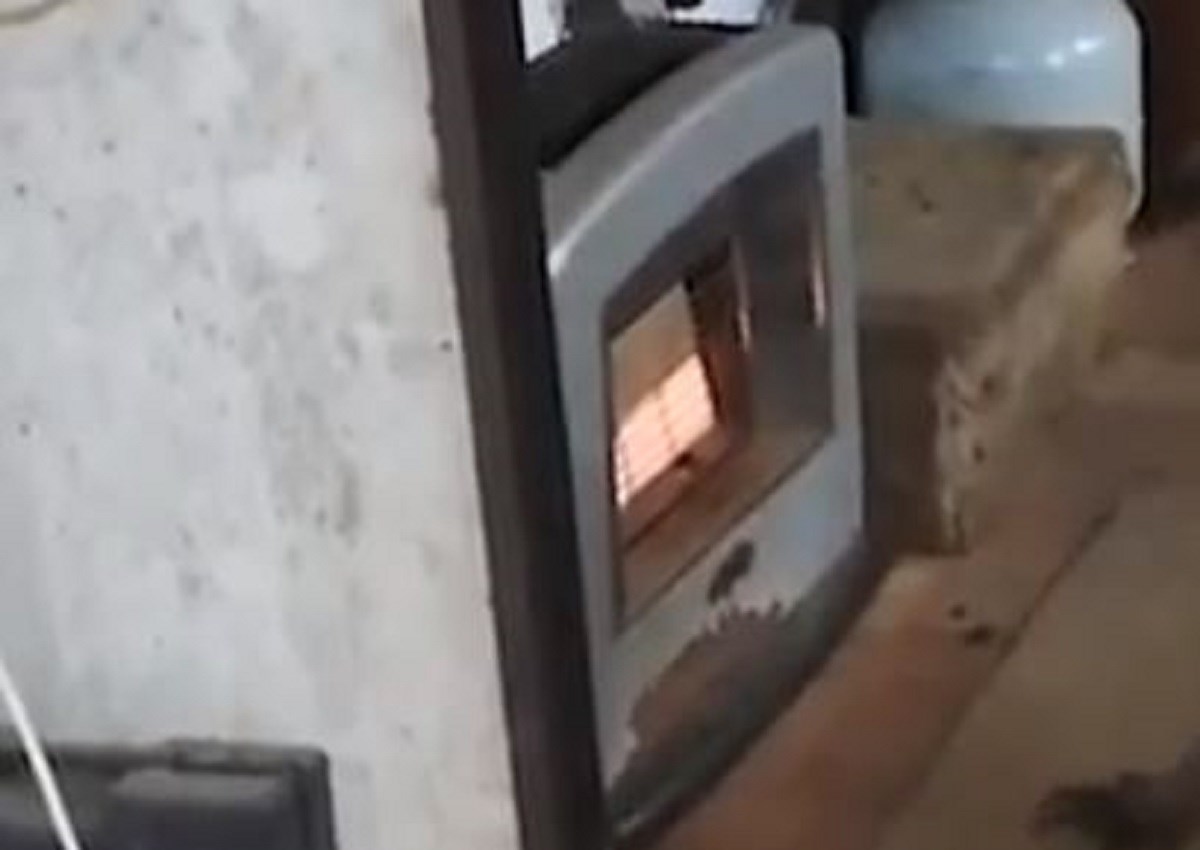 Australac se vratio kući, iznenadio ga prizor ispred grijalice: "Bilo mu je zima"