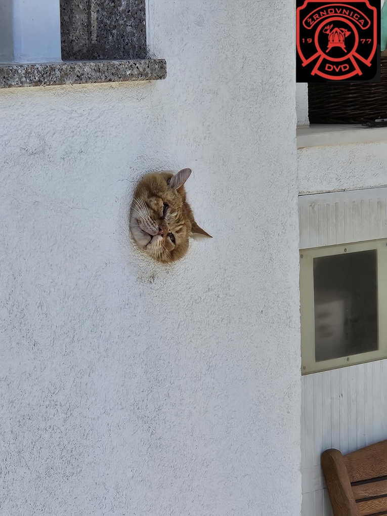 Vatrogasce iz Žrnovnice je ovakav prizor dočekao na terenu 