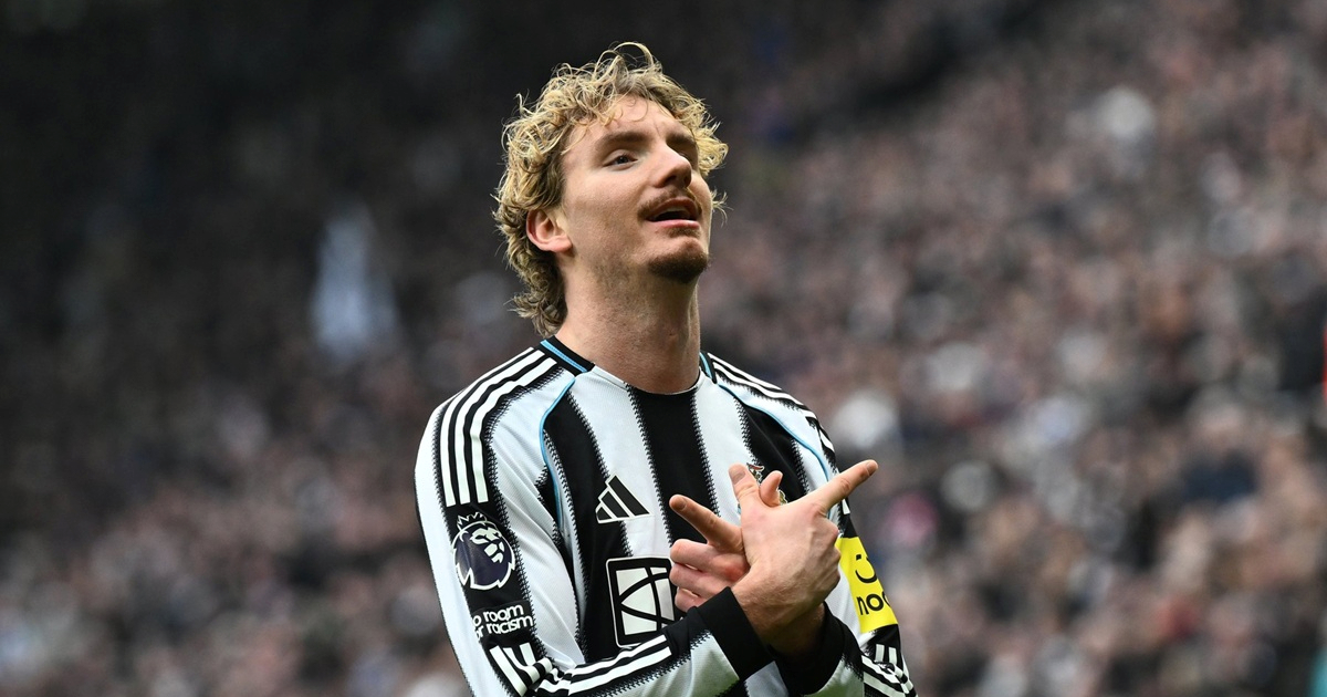 Woltemadeu, divu kojeg su doveli "idioti", vrijednost u godinu dana porasla 833 posto