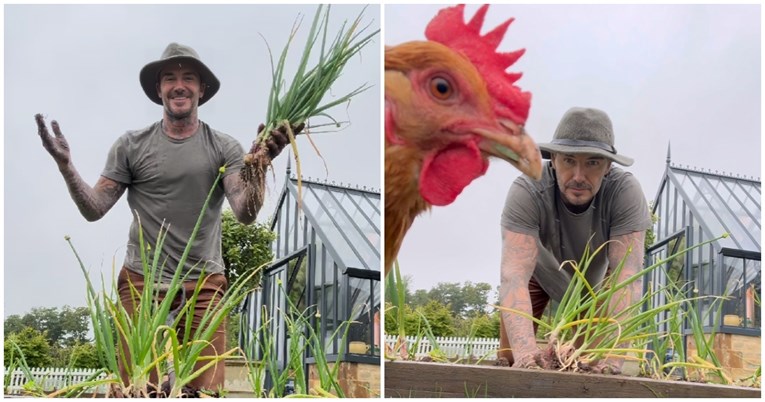 "Farmer Beckham": Slavni nogometaš pohvalio se kako vrtlari, video je hit