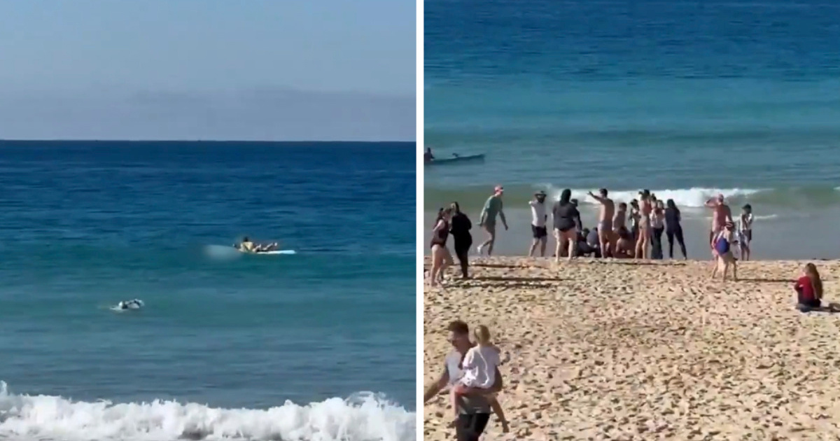 VIDEO Ženu u Sydneyju napao morski pas, bori se za život. Zatvorene plaže