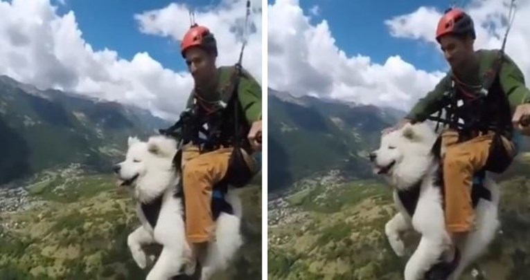 VIDEO Pogledajte kako izgleda kad vlasnik povede psa na paraglajding