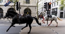 VIDEO Dva konja lutala centrom Londona. Jedan kao da je prekriven krvlju