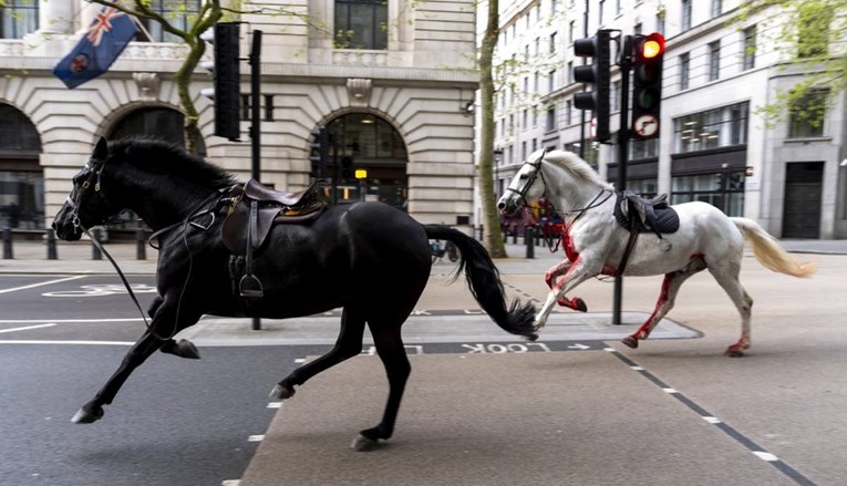 VIDEO Odbjegli vojni konji jurili centrom Londona. Jedan kao da je prekriven krvlju 